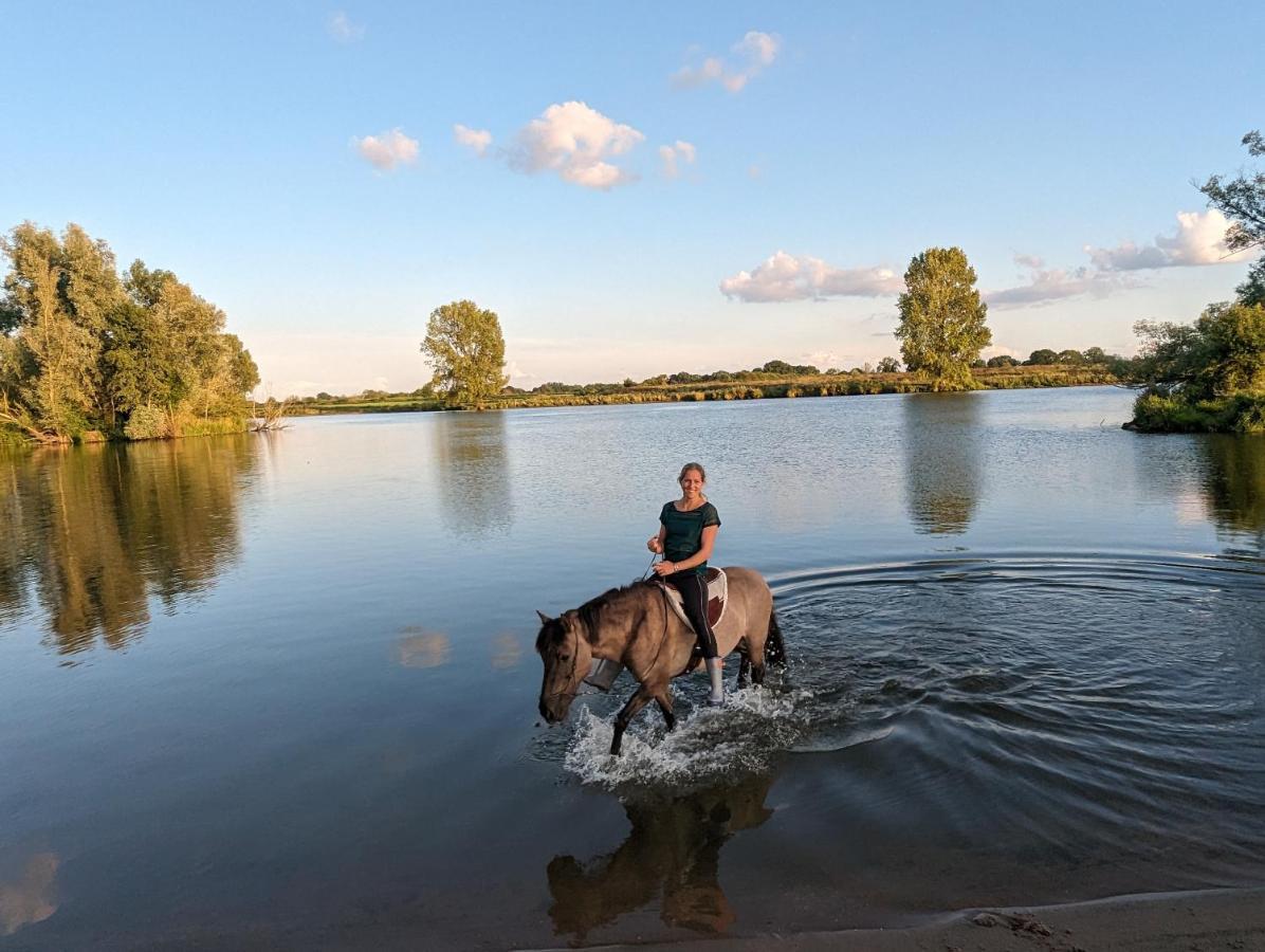 Klavertje 4 Middelaar Eksteriør bilde